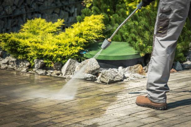 Best Solar Panel Cleaning  in Norwood, NC
