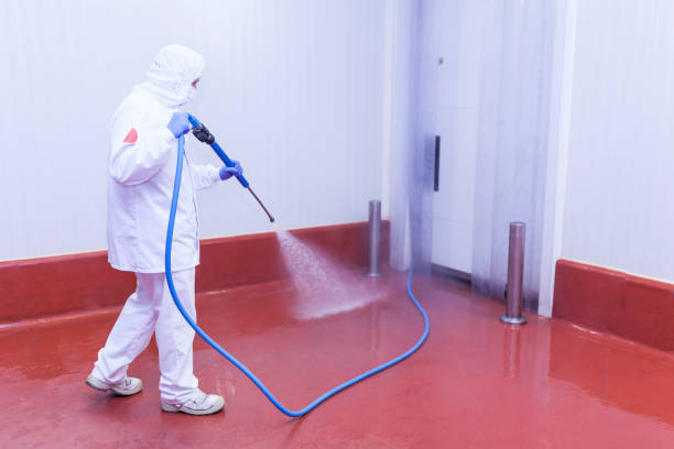 Best House Exterior Washing  in Norwood, NC